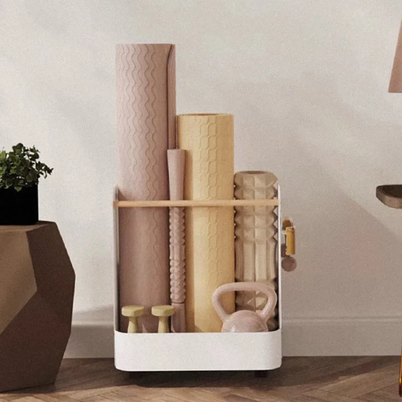 다기능 가정용 모바일 보관 카트, 거실 스포츠 장비,  - Sports Equipment Holder 리뷰 및 가격