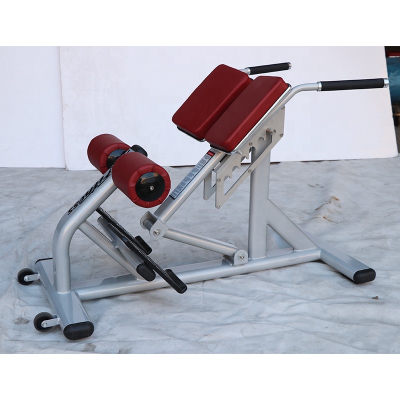 유니섹스 로만 체어 조절 가능한 스틸 스포츠 장비 가정 - Sports Equipment In School 리뷰 및 가격