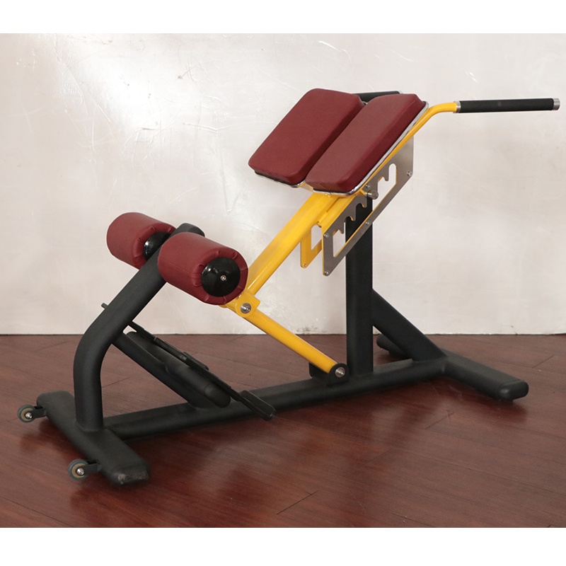 유니섹스 로만 체어 조절 가능한 스틸 스포츠 장비 가정 - Sports Equipment In School 리뷰 및 가격