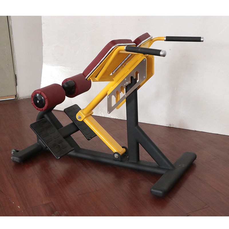 유니섹스 로만 체어 조절 가능한 스틸 스포츠 장비 가정 - Sports Equipment In School 리뷰 및 가격